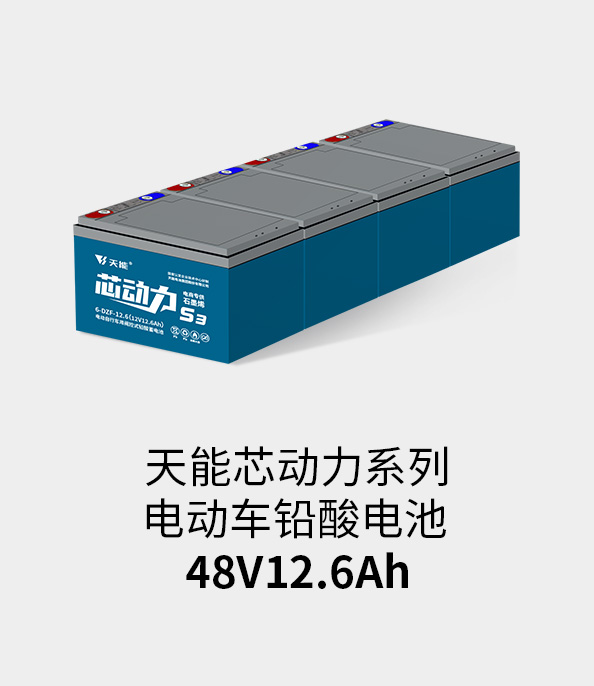 平博88pinnacle电池48v12ah