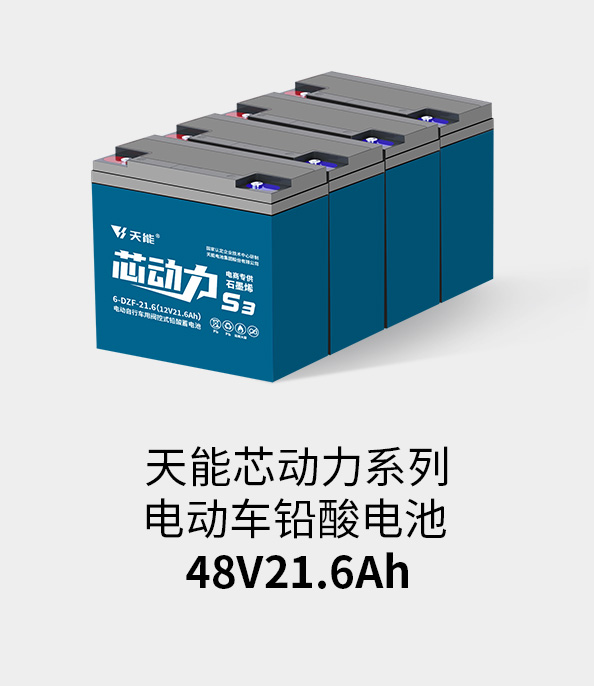 平博88pinnacle电池48v20ah