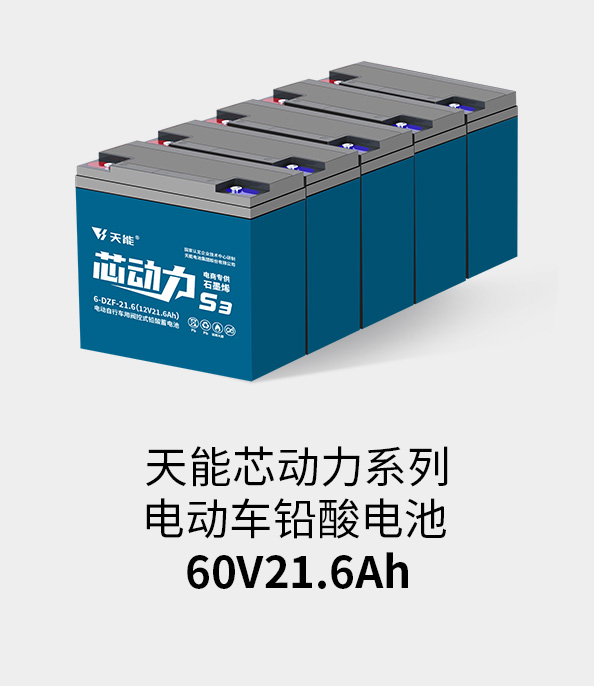 平博88pinnacle电池60v20ah