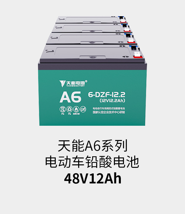 平博88pinnacle电池48v12ah