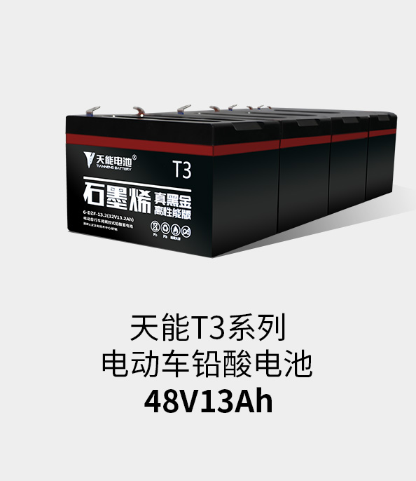 平博88pinnacleT3系列48v13ah