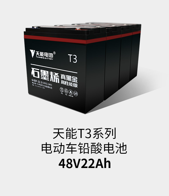 平博88pinnacleT3系列48v22ah